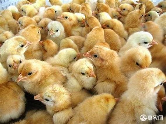 1f202231d3003ef22036dd82910f697d