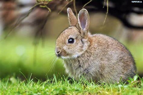 1aaf1f0e6b11ea8118706b81259b295f.jpg 10edafc955f6d09c78cf31eb122a078c