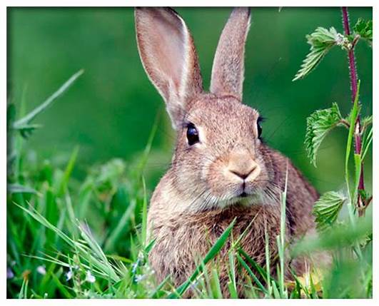 21a4a67c33545640504d94af1f9f292a.jpg e68dee4e52aef09674598adea3257525