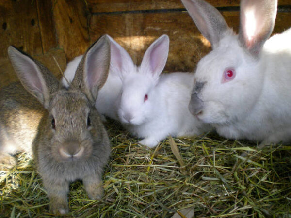 2453a7ae914223a1984185725de368f1.jpg 65f9fbaf06c6a63a8a293bfd897418b1