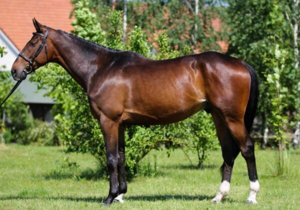 2b584cfc98e87472dc05de7fe3d94026.jpg 49db68c82d8fc98cb0da319d3cff5dbd