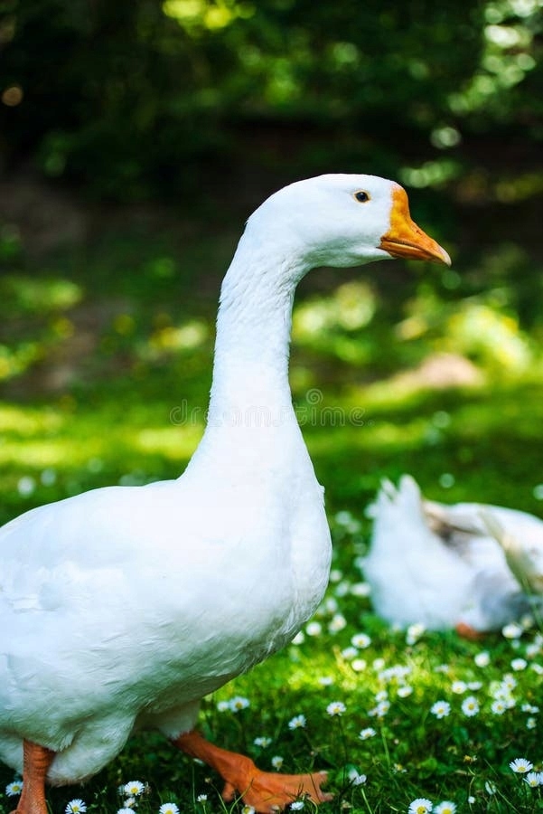 52a887b634d95ae45f8b64851f16861c