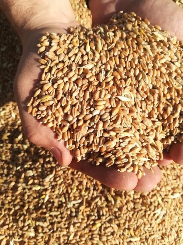 52747dcf6a5223c60d2a50787e27464a.jpg 049717463c7ed22c77195f2e47a6a175