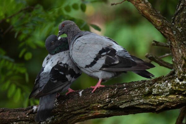 49bb269ea8efdbaa5c355df3ebd31dec