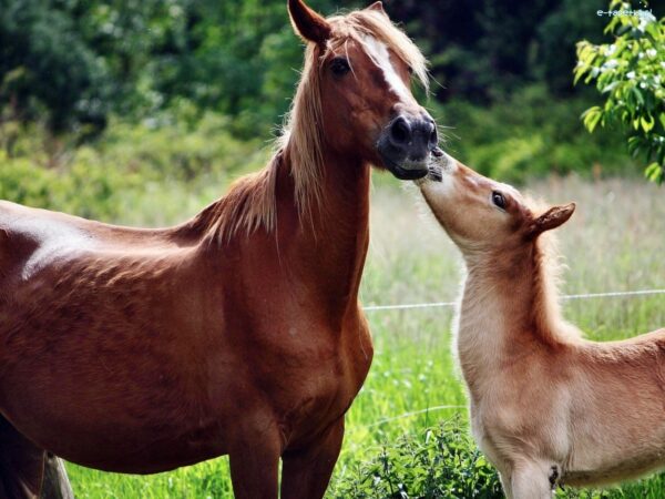 711fc3a3c5487b525cdc34aea8a1cf3b-1.jpg 2440e268a7e53456ed67a26cc364b523