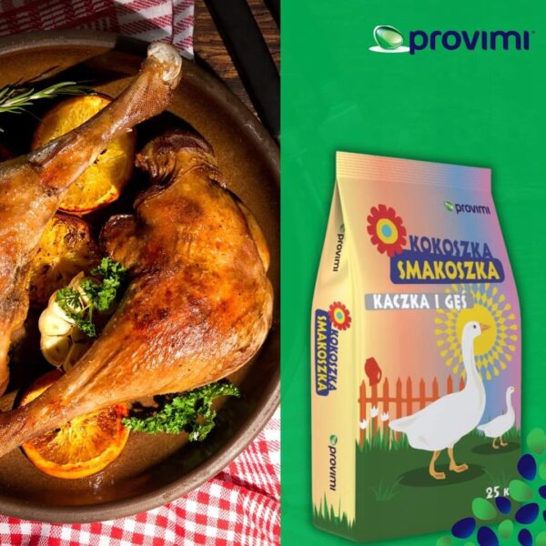 a8f5cd83eed2dedd66f16bd0cab23747