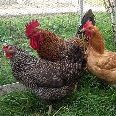 8fc0b0ad340f15e9b2c6fe901aa2ef18.jpg da0e9b9fa5cc906ce7d5ba663f6cf6cf