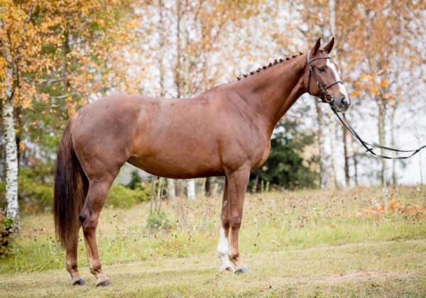 8fc8d0fa3a200e0029fdbf530cc6814e.jpg 1f1662d9e8fc5844202db9eaf5c4e366