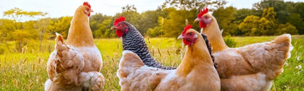 9291e4c69f36fdeac4e8615c0b40af63.jpg 8155ef9343c5038a3afe3011d4fec454