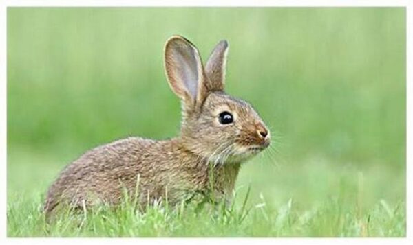 929e85b3970bca904d1d468d70c97ebd.jpg 8b7eb5b55f0db3655b706ebe3db397f9