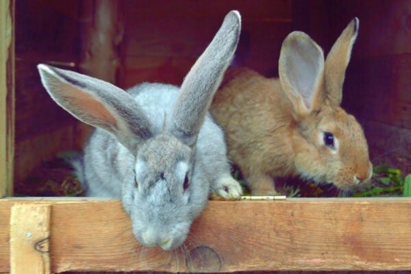 a5a9828e3cb820677f64fc2c2fceaae6.jpg b5ae271ab7d254ead5ba4ffd9f8147b5