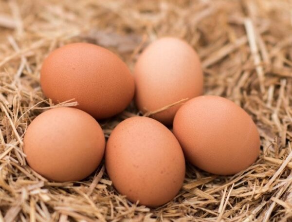 aa6bba5971c6278ee180d075e24c9aac.jpg 26701788ca52a2cffff03db7e890fd44