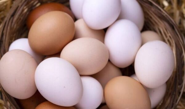 e96a99c799d249121418c6d96c5f4a74