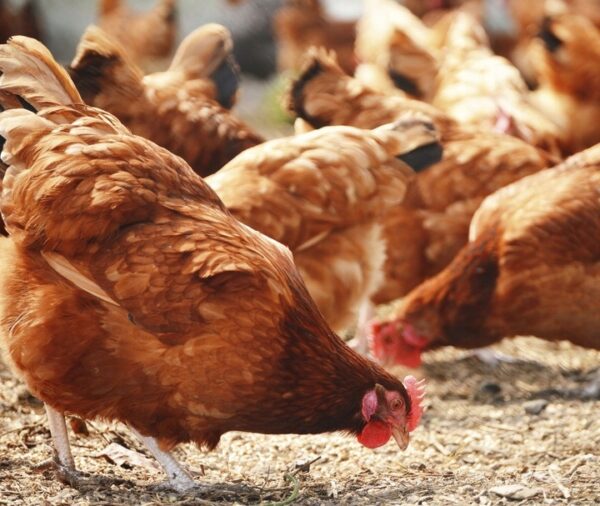 b0f59d195971ce7dd0d5150bad88ddbf.jpg 3f422a6f786b756339e320bf7a68fee9