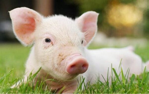 bcf270edcb79b83d2266f1aabc28da7b.jpg 38cb727901cab8eeeb7507667bd2b933