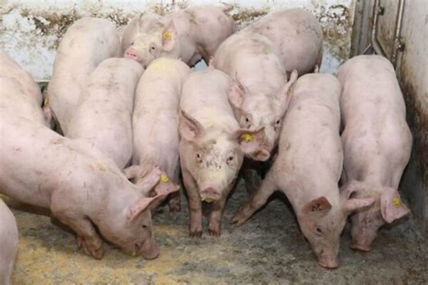 4ed5f0a2d2a1201f769aece105ded06f