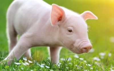 bef50c45da1835c9f8c16bb0700827eb.jpg 3f58a5de915b2576d7127c4e6b6c2490