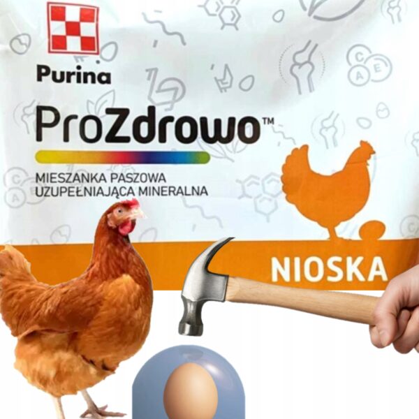 85c5877b7ec6ae2f8d7250ea8bfacb90