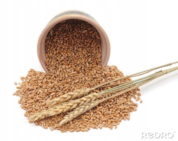 e513359b004e187cc32d8e404b9eafcf.jpg 6bb0a380b2d0c521952e47df078aa741