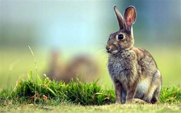 e9f01ae42afa86ea9b99453c637e6f88.jpg 8308b021a1fbf1f02ff2a83bae32a7e3