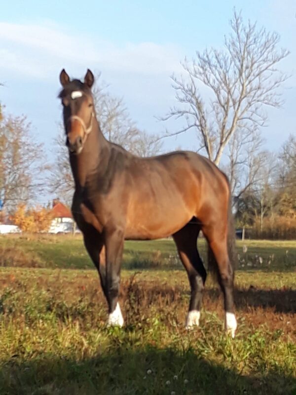 b58f003209e6f220fffb3ea81bea3edb