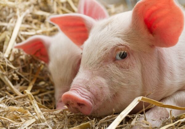 f4c1604b1b92b1679cf538f045eb72f5.jpg 5b88697be66a8f7908119d122cdd301b