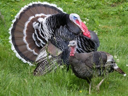 a591ebc7effcff714aa775d4533b5bb9