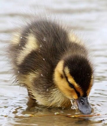 7e3a061e2d539c4c6eb0c107f413ff07