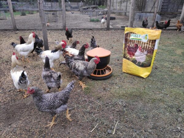 7f43df294bd8f03fd585ec9dd95ebe52.jpg 4083ed37db639800025feaddf7acbcc6