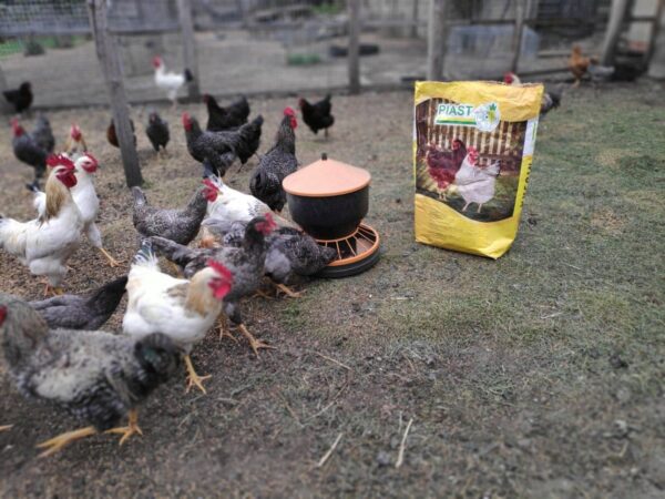 87332b54b0feee60b5e51f841b4b05bb.jpg b6e5f27c47cae28fc215329d0066bfb9