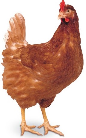 b4de57a71e7adb2f598cf8ae25ea124d.jpg 655a32ab7591efa3e1c85702689e1a61