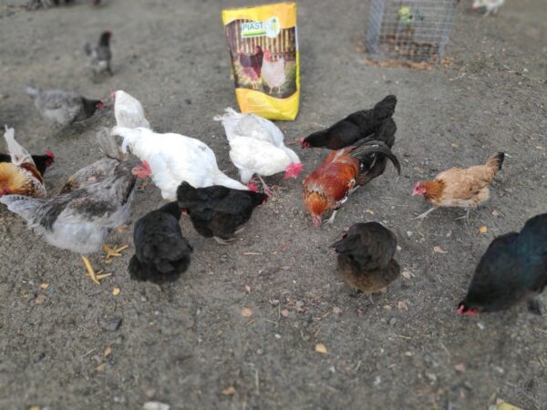 c71513e6f07056d2e532720f5980f268.jpg ee4e54e180aaa7d4862d2aa33a9e73d9