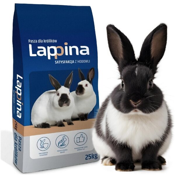 13998511cf345ce96a011999dc8697b4