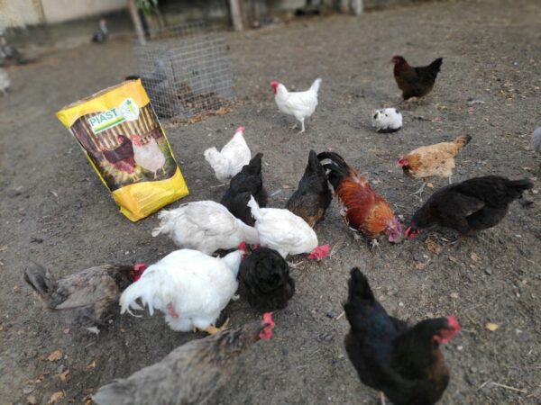 e3bc3d194e2ef451d605f48c08529117.jpg 4b1266f15add88affcd804723c17af98