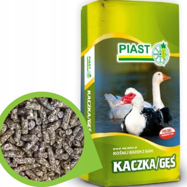 2eaeae41afe88c43e74a932daf569ec9